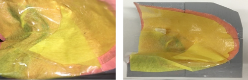 Yellow 3D-printed pelvis simulator with a latex glove inserted into the hernial defect, shown in two side-by-side views.