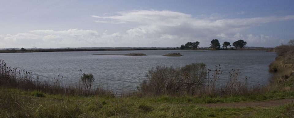File:Marsh.jpg
