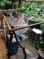 Bamboo rail posts.