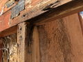 Rotten wood