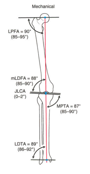 File:Fig. 5a.png