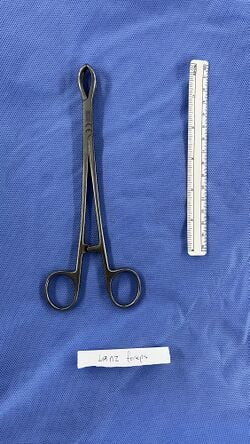 Lane's ring forceps, second view