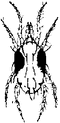 Thumbnail for version as of 17:11, 6 January 2007
