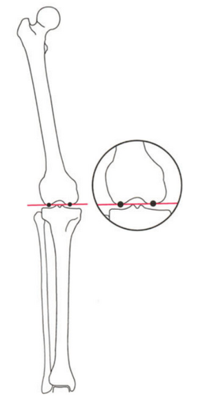 File:Fig. 4c.png