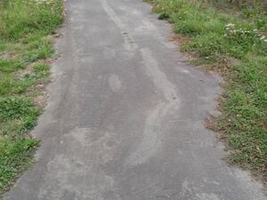 330px-Pathd2.jpg