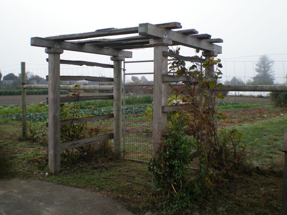 File:Potawotgarden.jpg
