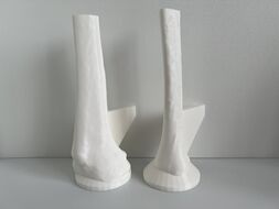 253px-3D_Printed_Adult_Male_Tibial_Bone_Models_1_and_2.jpg