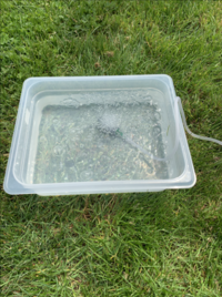 Image 1. Bubbles Show the System working to Aerate the Water.