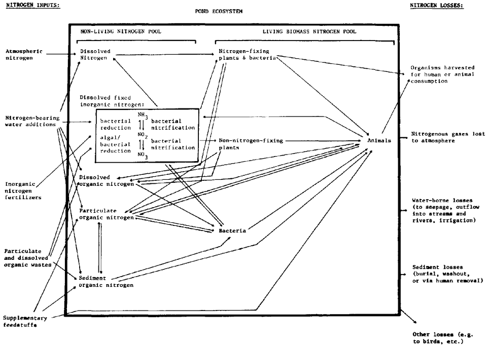 File:80434E1L.GIF