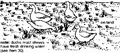 Thumbnail for version as of 01:24, 6 January 2007