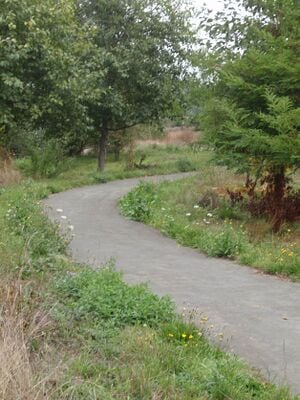330px-Path1.jpg