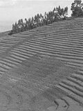 Thumbnail for version as of 01:23, 6 January 2007