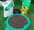 Cactus soil in a child's sandpit toy