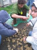 Thumbnail for version as of 01:11, 9 May 2006