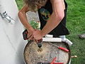 Figure 5: Drilling the downspout hole into the top of the wine barrel.