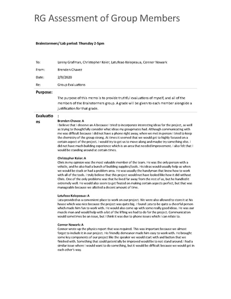 File:RG Assessment of Group Members.pdf