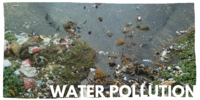 Water pollution issues gallery.png