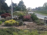 Native memorial garden An upgrade of the memorial garden including pervious concrete paths and native plants.