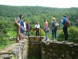 Practivistas Chiapas • Description • Impacts • Year: Role