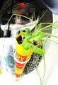 Finished planter
