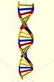 DNA Customizer on Thingiverse