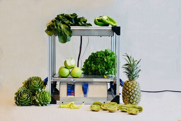 File:Nodo Biofabricación Digital.jpg