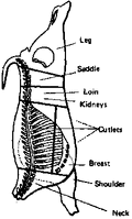 Thumbnail for version as of 01:24, 6 January 2007