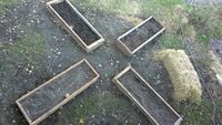 Primary garden to kitchen Garden beds for primary students to grow veggies for the kitchen