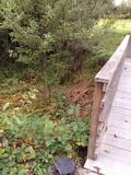 Swale Biomass