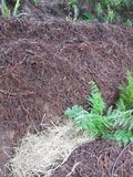 Close-up of straw covering on planting beds