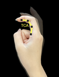 Thumbnail for version as of 02:36, 24 November 2025