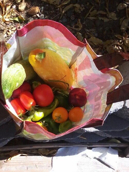 File:GardenVeggies.jpg