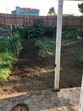 thumbStarting of the digging