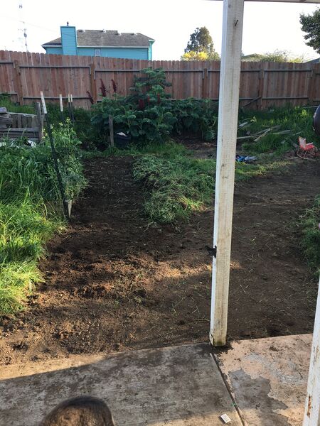 File:Pig's Dig Start.jpg
