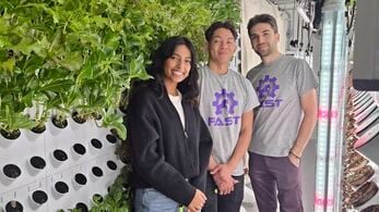 Lighting and Revenue Analysis of Grow Lights in Agrivoltaic Agrotunnel for Lettuces and Swiss Chard