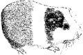 Thumbnail for version as of 16:07, 13 March 2009
