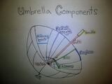 Umbrella components.