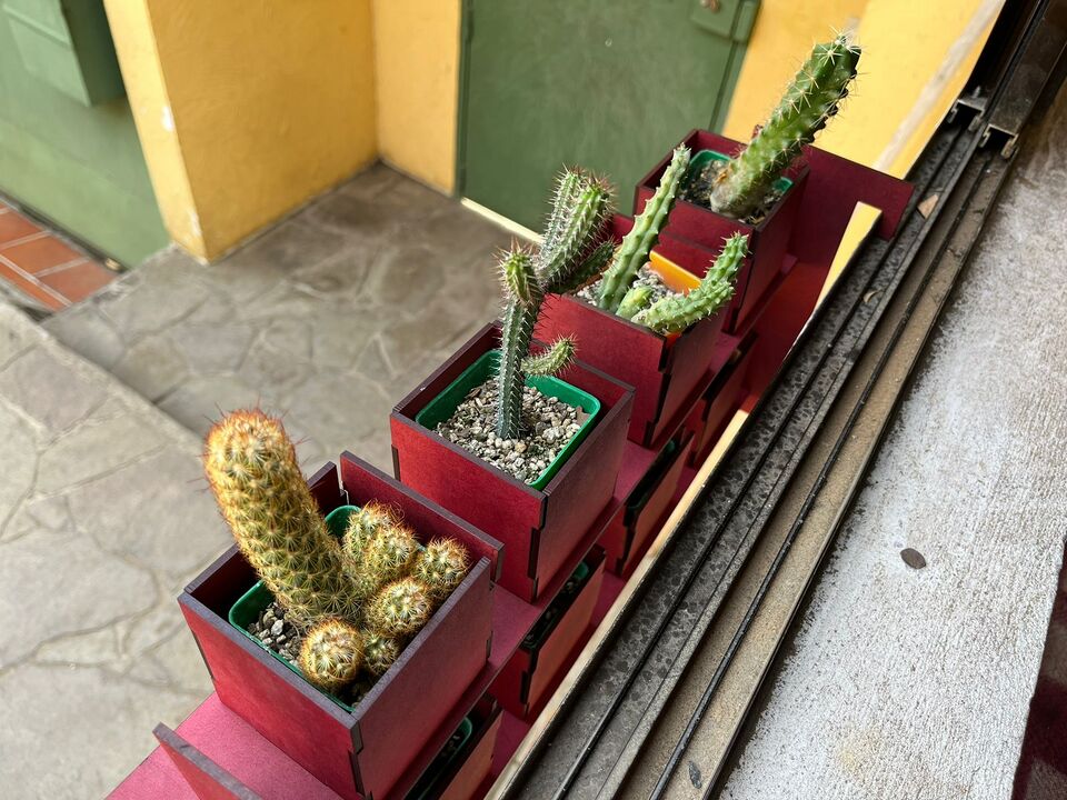 File:0ae7b09e-2ba1-47de-ad57-ca80beab26a0.jpg