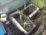 Greywater system A greywater system from the kitchen water to reduce the freshwater demand of the gardens.