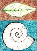 Design Inspired by Nature: Biomimicry and Ratios Activity. This activity shows the advantages of biomimicry in real world applications and demonstrates the mathematic relation between all biomimicry designs via the Fibonacci Sequence (aka the Golden Ratio).