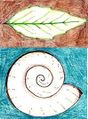 Design Inspired by Nature: Biomimicry and Ratios Activity. This activity shows the advantages of biomimicry in real world applications and demonstrates the mathematic relation between all biomimicry designs via the Fibonacci Sequence (aka the Golden Ratio).