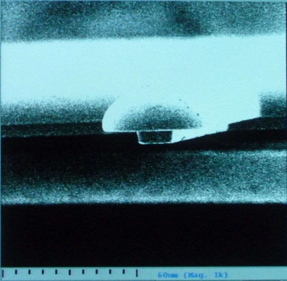 File:Fig 30.jpg