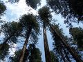 Thumbnail for version as of 20:33, 22 September 2013