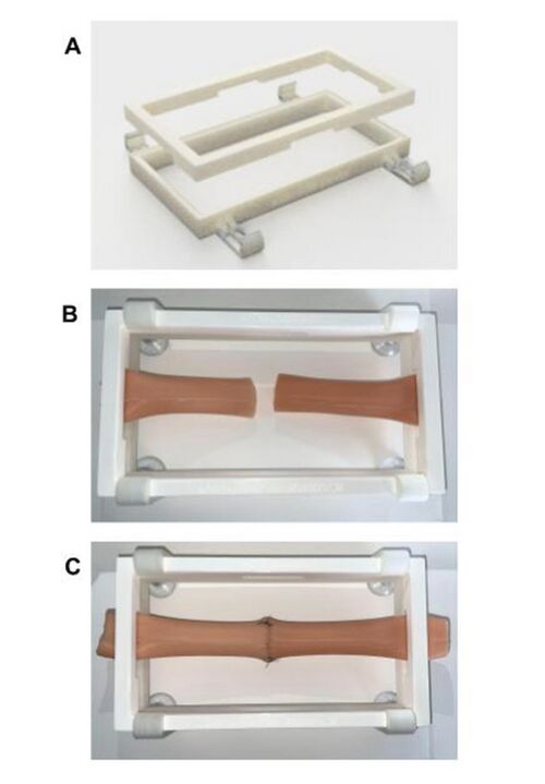 Three-panel photograph: (A) the maxSIMclamp+ separated into top and bottom parts, (B) a silicone bowel segment placed in the top part, and (C) the assembled simulator clamped together.