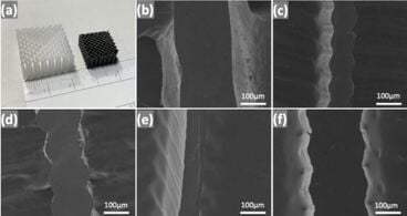 Effect of thermoplastic polyurethane filament on the cellular ceramics structures obtained from material extrusion and polymer-derived ceramic