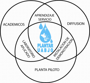 UABJO-Figura del Programa-ES.GIF