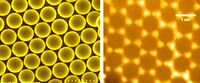 Scalable honeycomb top contact to increase the light absorption and reduce the series resistance of thin film solar cells