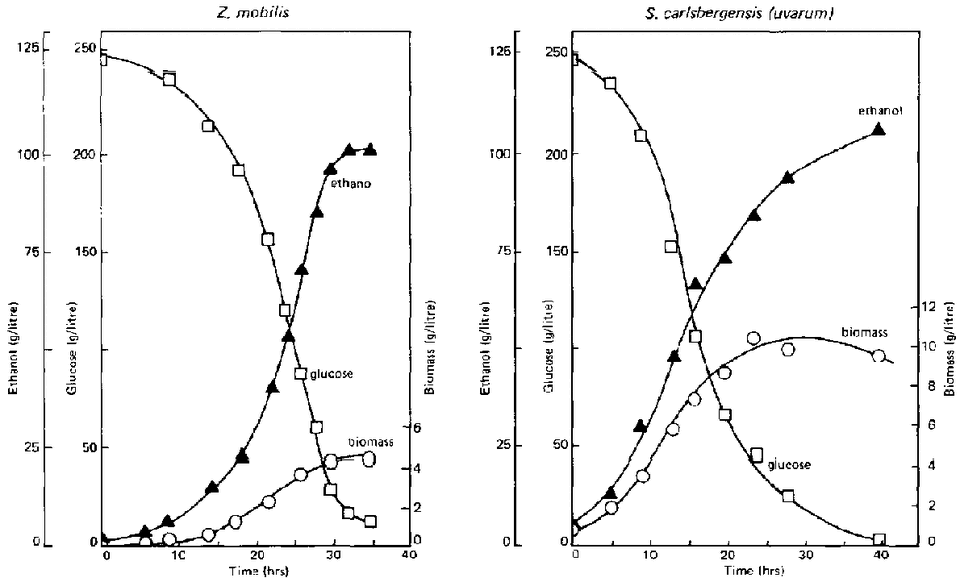 File:80362E0O.GIF