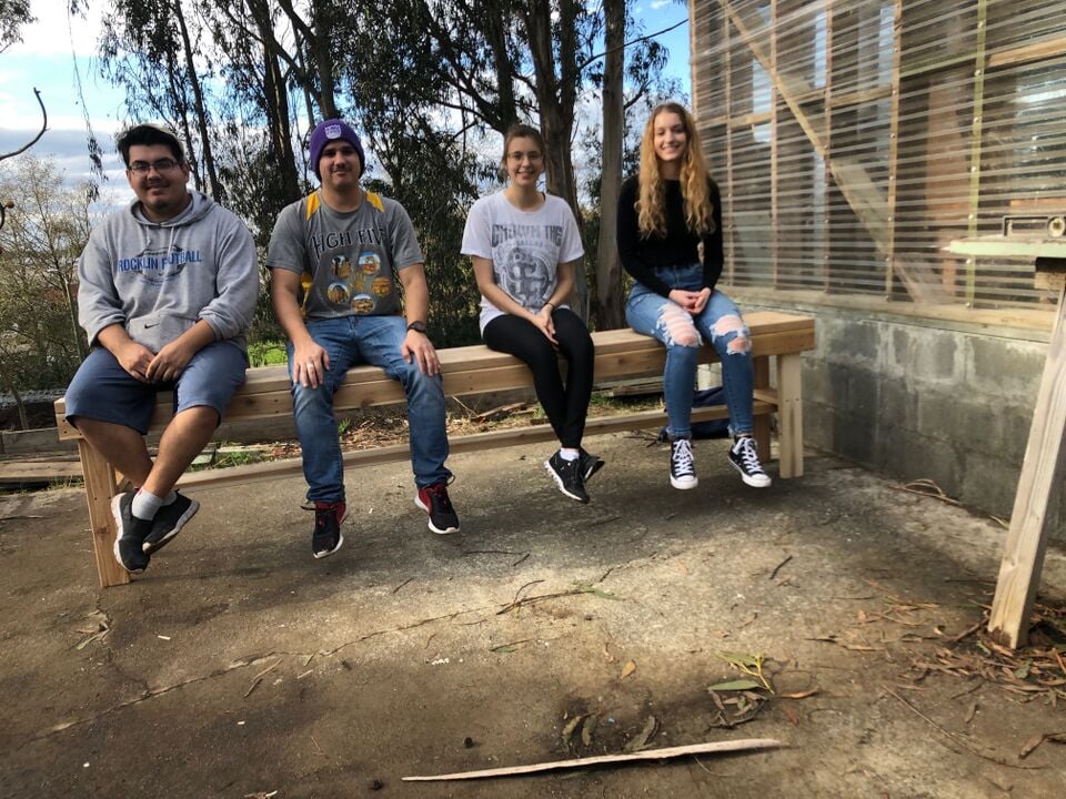 File:Bench in Use.jpg