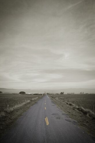 Neglected country road travelling into the horizon, surrounded by landscape overlayed with a brown, desaturated filter